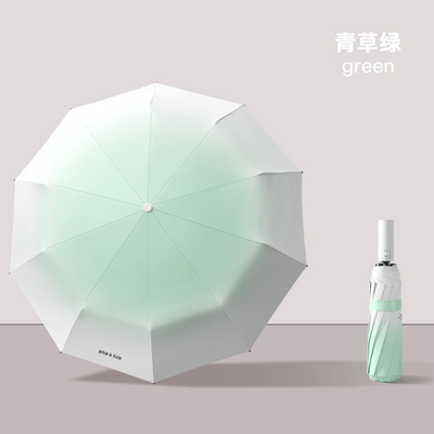 210T 나일론 천 10골 자동 우산